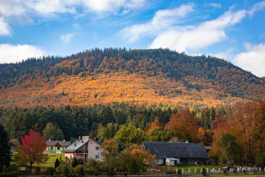 Domek Nad Zalewem Radkowskim エクステリア 写真